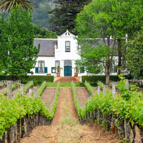 Farm Land Sales
